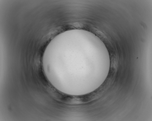 X0000113560518200910161459