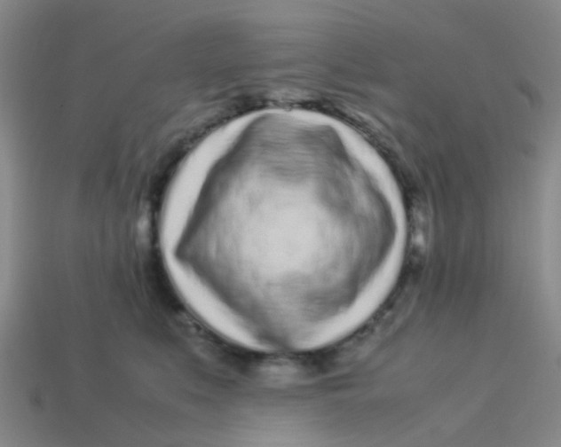 X0000113560519200910161459