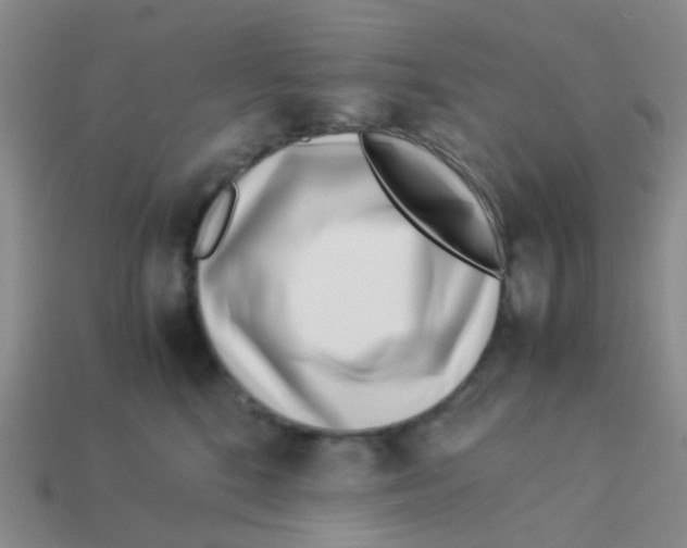 X0000113560520200910161459