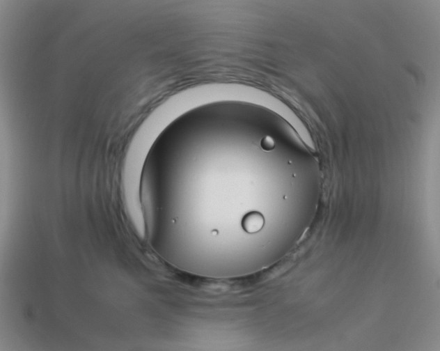 X0000113560521200910161459