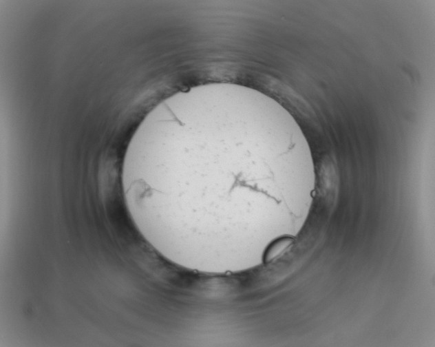 X0000113560522200910161459