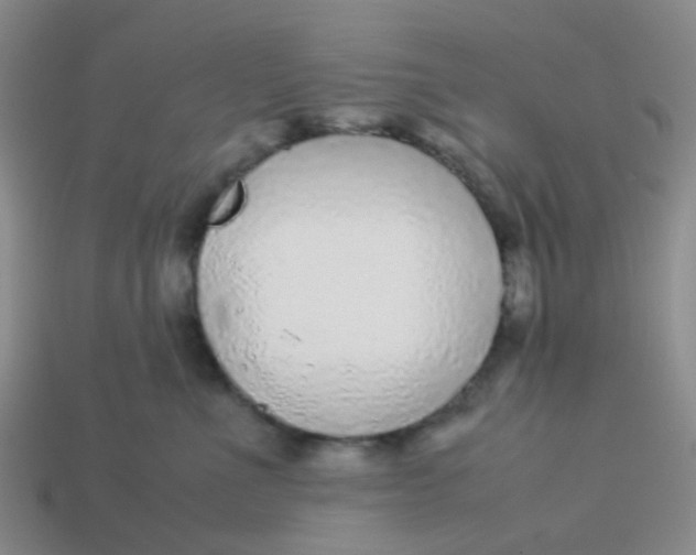 X0000113560523200910161459