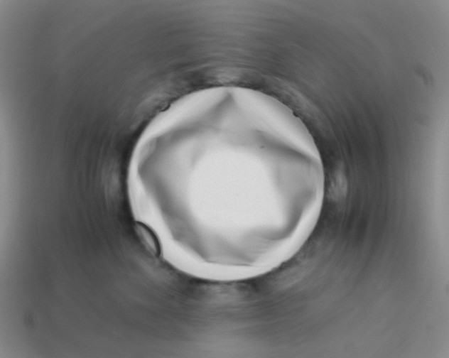 X0000113560524200910161459