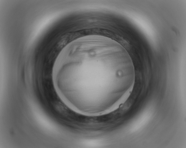 X0000113560526200910161459
