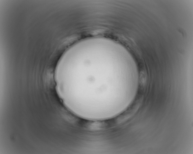 X0000113560527200910161459