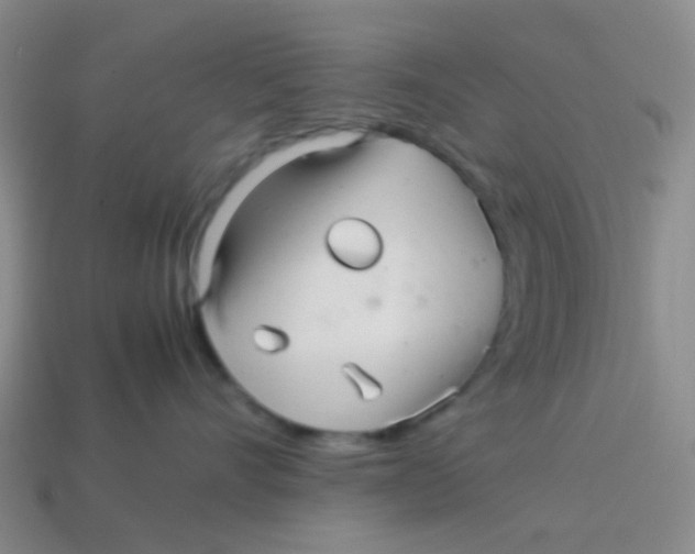 X0000113560528200910161459