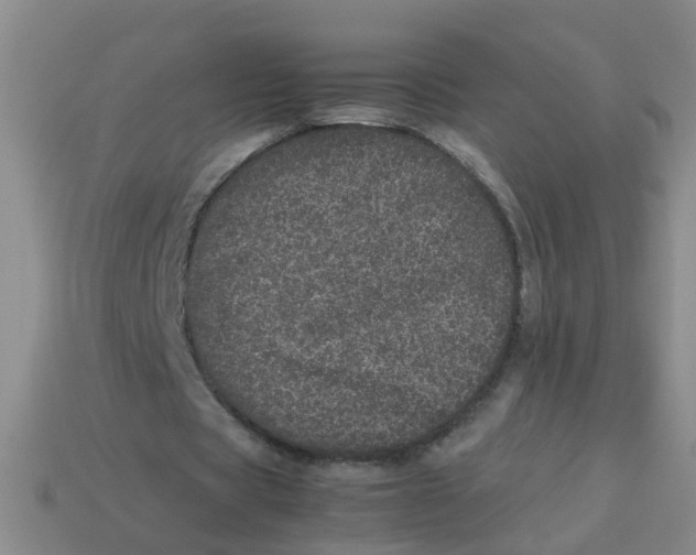 X0000113560529200910161458