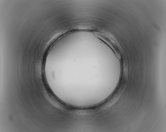 X0000113560530200910161458