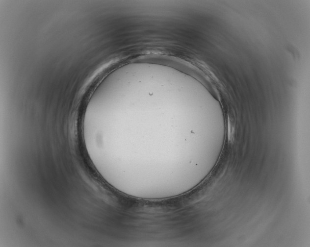 X0000113560531200910161458