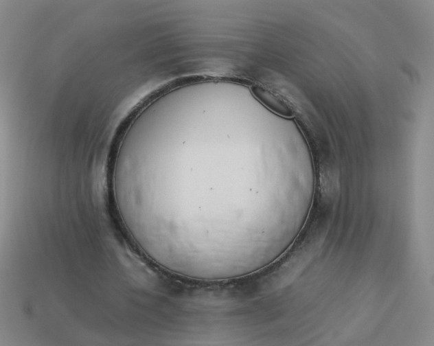 X0000113560532200910161458