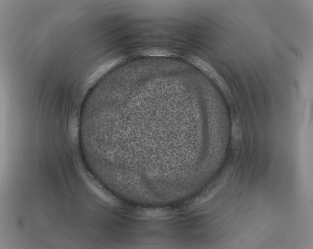 X0000113560533200910161458