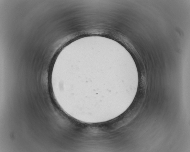 X0000113560534200910161458
