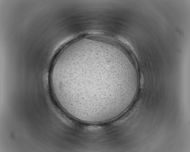X0000113560535200910161458