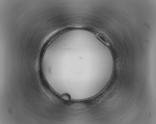 X0000113560536200910161458