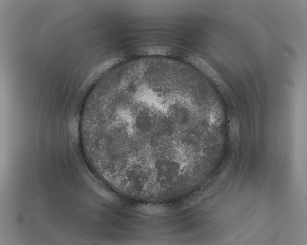 X0000113560537200910161458
