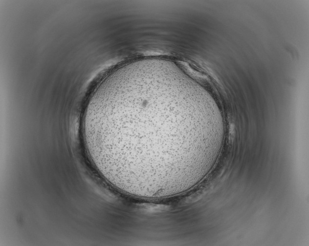 X0000113560539200910161458
