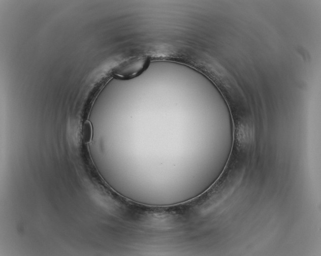 X0000113560540200910161458