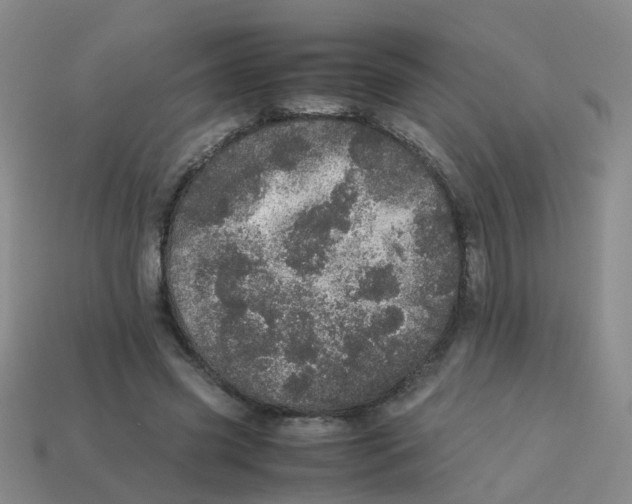 X0000113560541200910161458