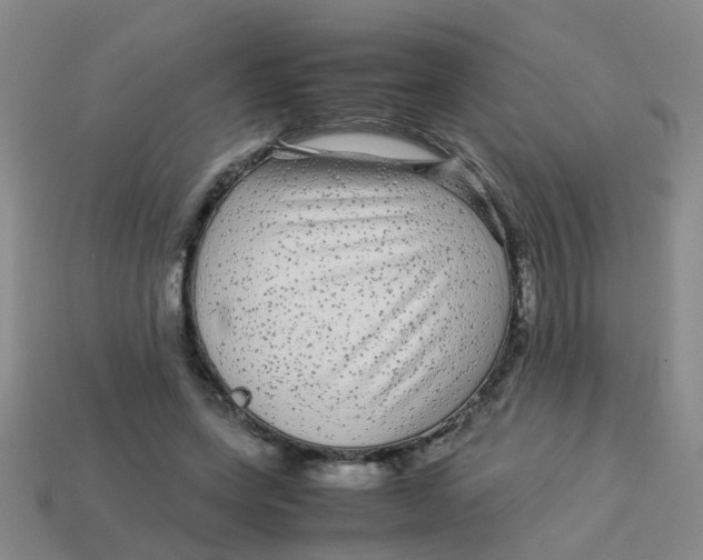 X0000113560543200910161458