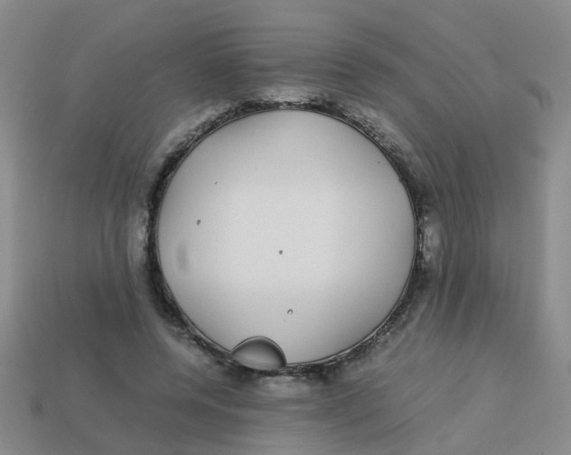 X0000113560544200910161458