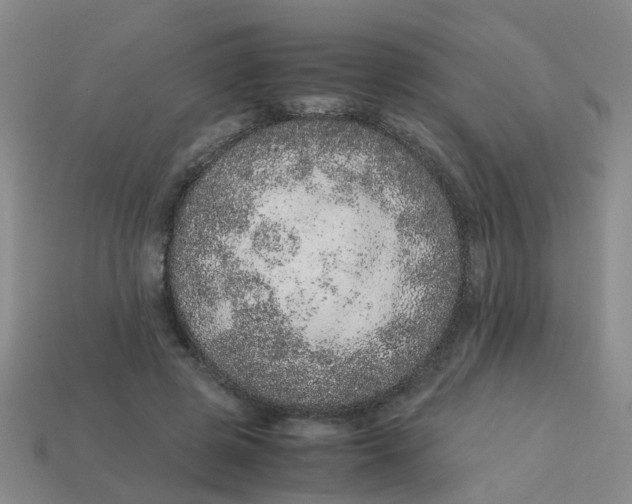 X0000113560545200910161458