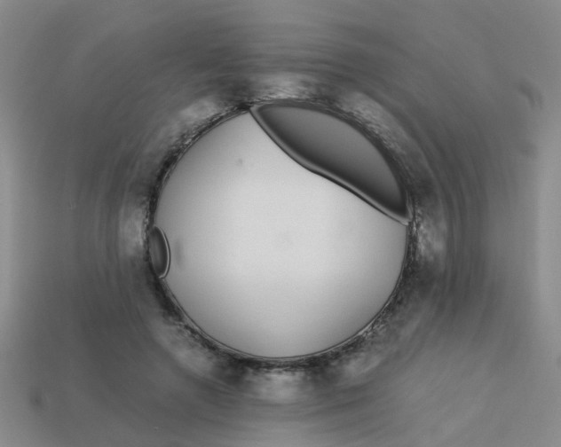 X0000113560546200910161458
