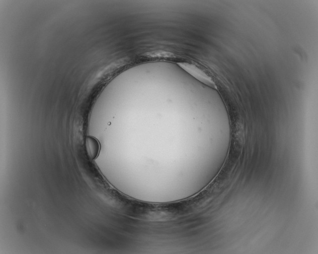 X0000113560547200910161458