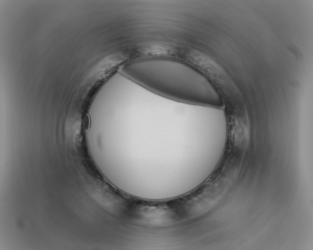 X0000113560548200910161458