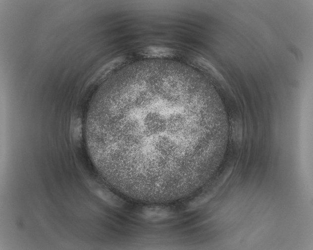 X0000113560549200910161458