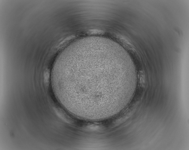 X0000113560550200910161458