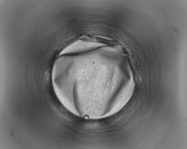 X0000113560551200910161458