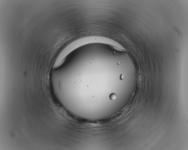 X0000113560552200910161458