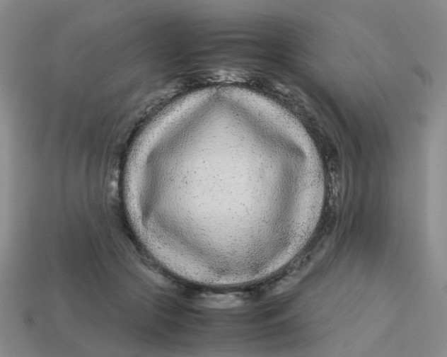 X0000113560553200910161458