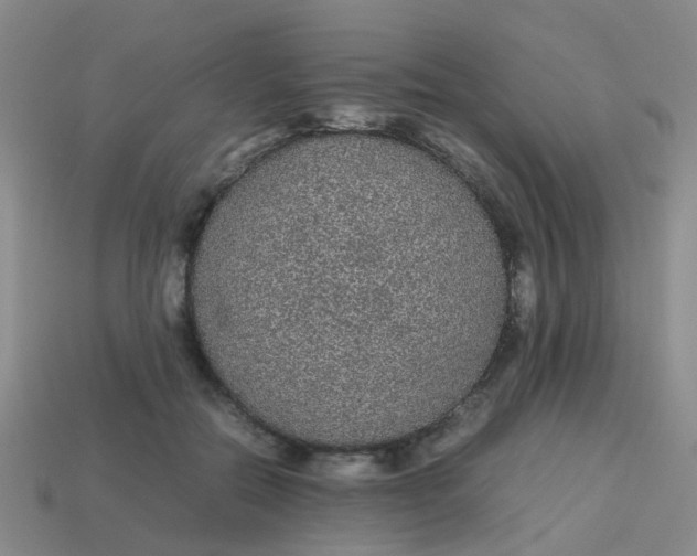X0000113560554200910161458