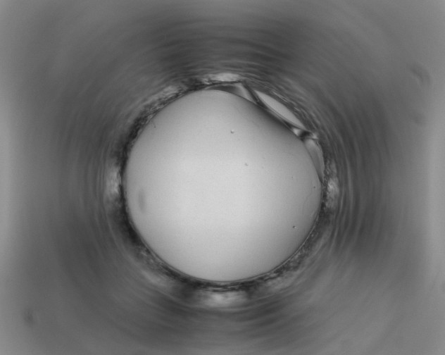 X0000113560555200910161458