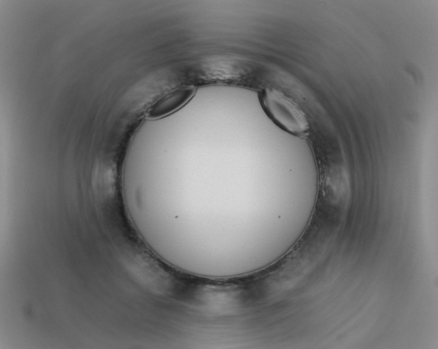 X0000113560556200910161458
