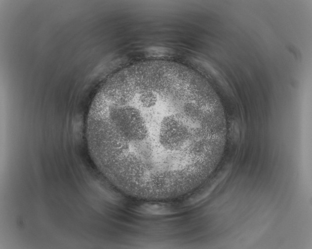 X0000113560557200910161458