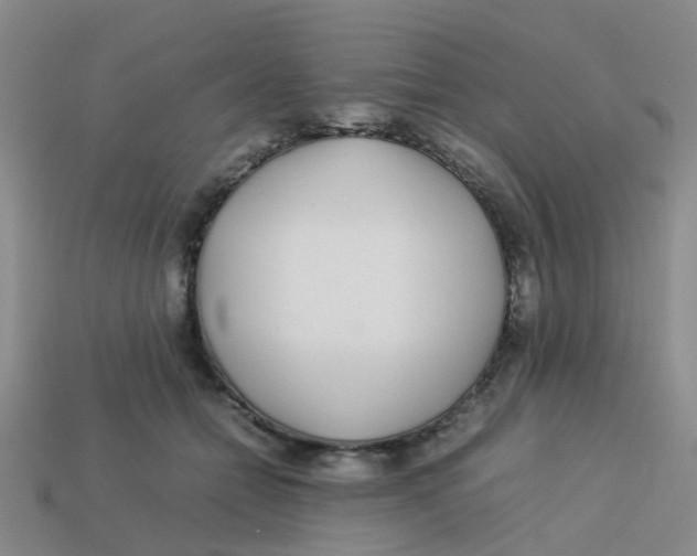 X0000113560558200910161458