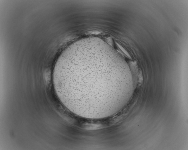 X0000113560559200910161458