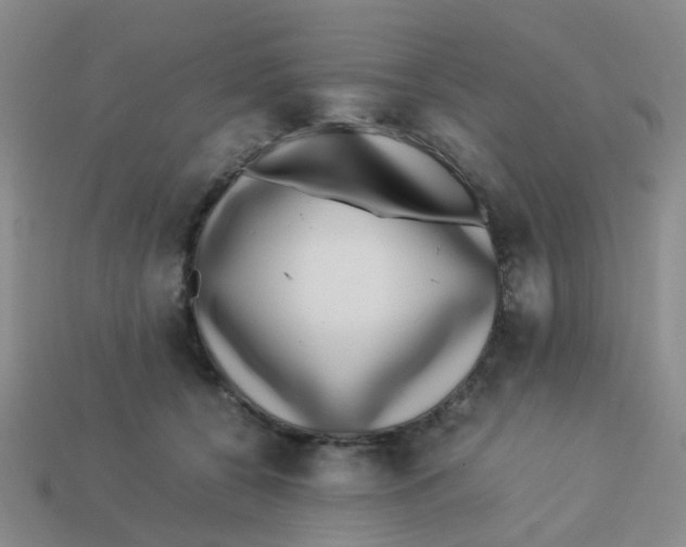 X0000113560560200910161458