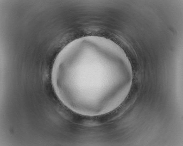 X0000113560561200910161459