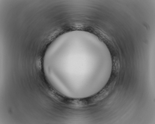 X0000113560562200910161459