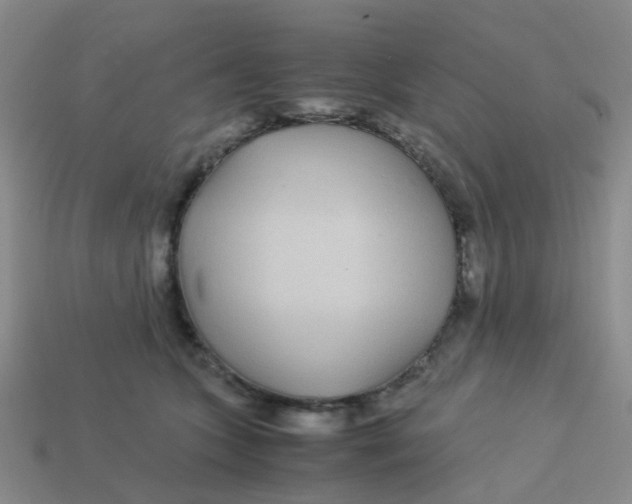 X0000113560563200910161459