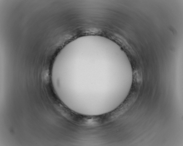 X0000113560564200910161459