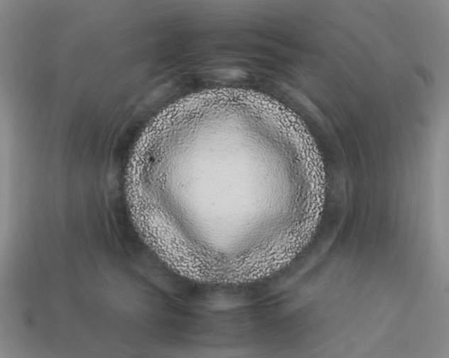X0000113560565200910161459
