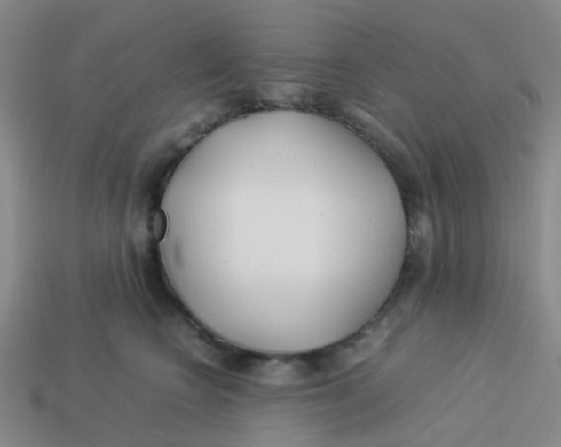X0000113560566200910161459