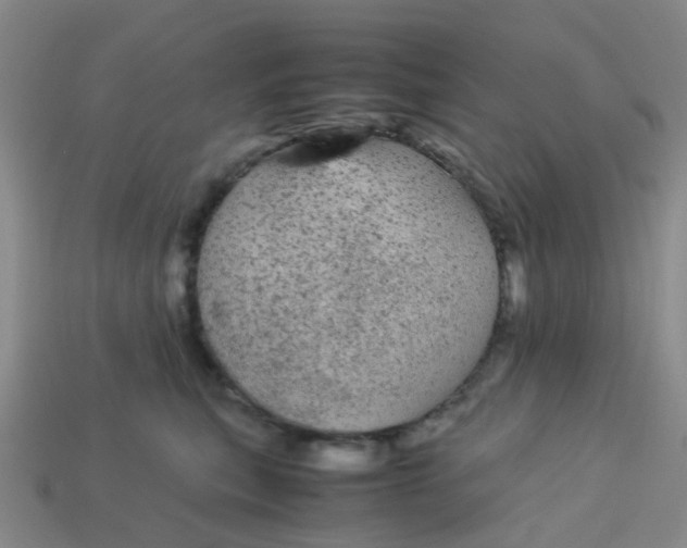 X0000113560567200910161459