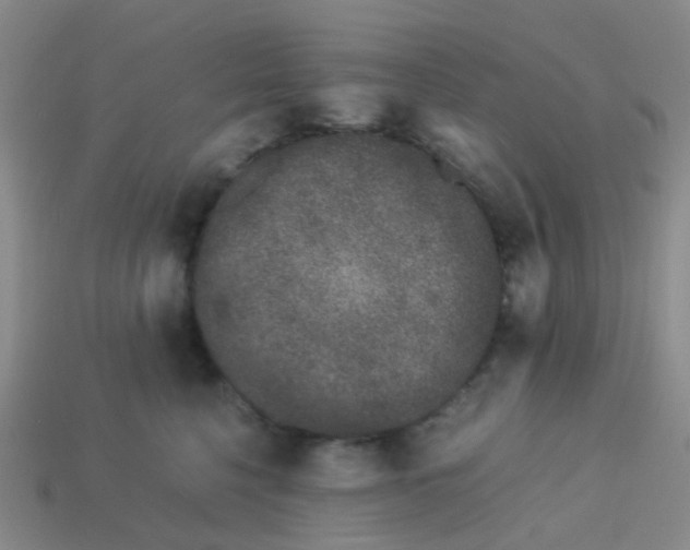 X0000113560568200910161459