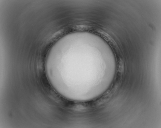 X0000113560569200910161459