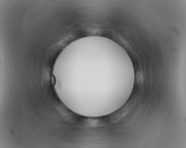 X0000113560570200910161459